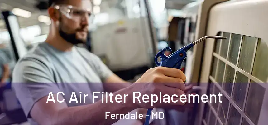  AC Air Filter Replacement Ferndale - MD