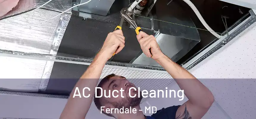  AC Duct Cleaning Ferndale - MD
