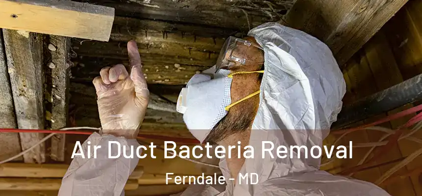  Air Duct Bacteria Removal Ferndale - MD