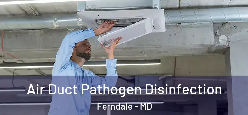  Air Duct Pathogen Disinfection Ferndale - MD