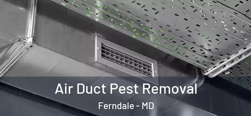  Air Duct Pest Removal Ferndale - MD
