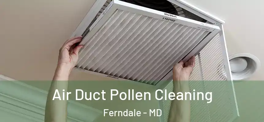  Air Duct Pollen Cleaning Ferndale - MD