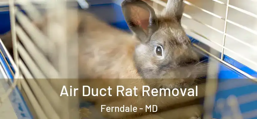  Air Duct Rat Removal Ferndale - MD