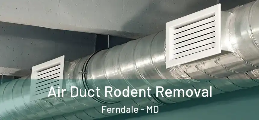  Air Duct Rodent Removal Ferndale - MD