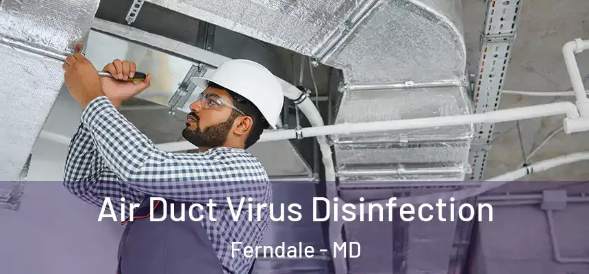  Air Duct Virus Disinfection Ferndale - MD