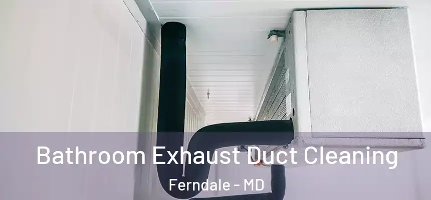  Bathroom Exhaust Duct Cleaning Ferndale - MD