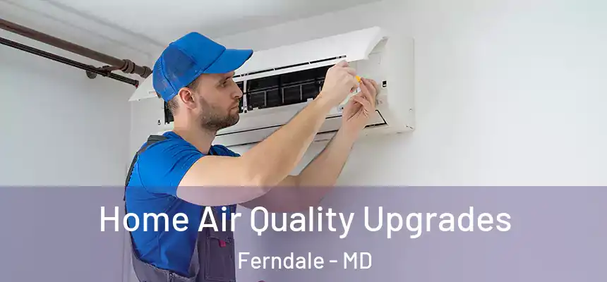 Home Air Quality Upgrades Ferndale - MD