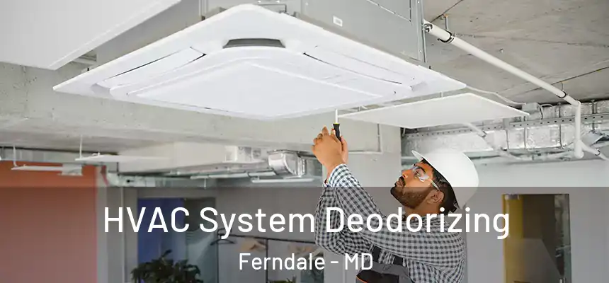  HVAC System Deodorizing Ferndale - MD