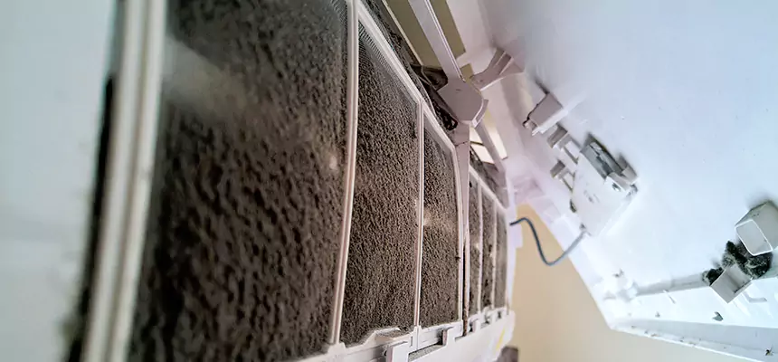 Preventive Air Duct Bacteria Removal in Ferndale