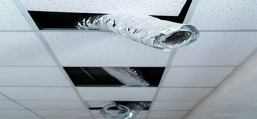 Our Air Duct Pet Hair Removal Services in Ferndale, MD