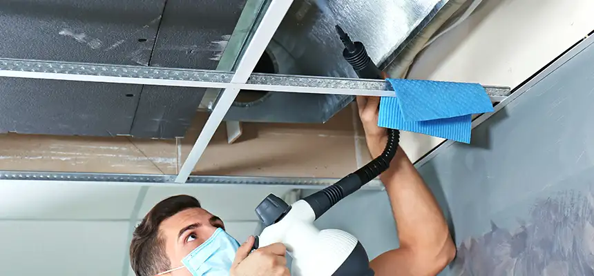 Our Air Duct Rodent Removal Services in Ferndale, MD
