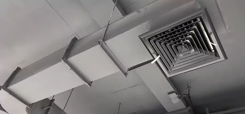 Restorative Allergy Relief Vent Cleaning – Coil, Blower & Housing Detail in Ferndale