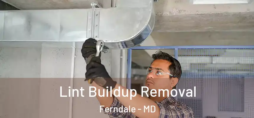  Lint Buildup Removal Ferndale - MD