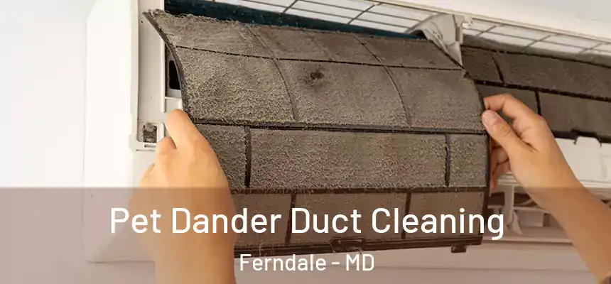  Pet Dander Duct Cleaning Ferndale - MD