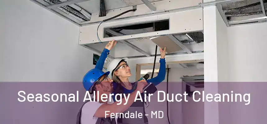  Seasonal Allergy Air Duct Cleaning Ferndale - MD