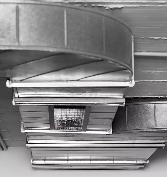 Professional Air Duct Pet Hair Removal in Ferndale, MD