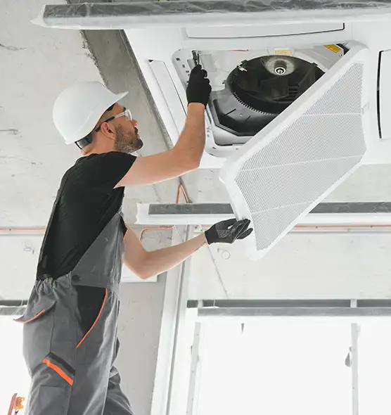 About Air Duct Rodent Removal in Ferndale, MD