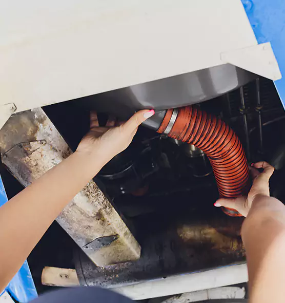 About Air Duct Virus Disinfection in Ferndale, MD