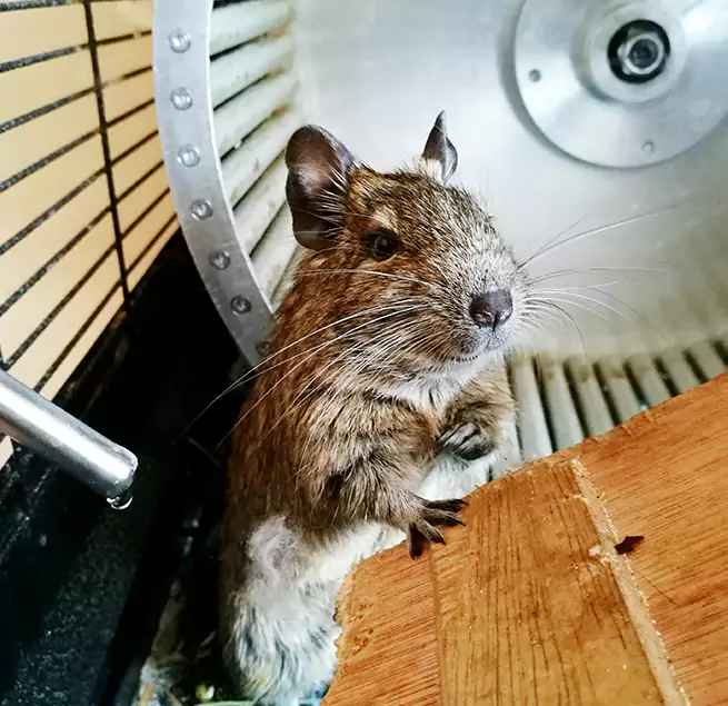 Why Homeowners & Businesses Trust Us Ferndale, MD