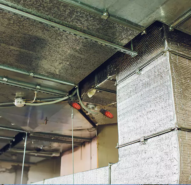 Why Homeowners & Businesses Trust Us Ferndale, MD?