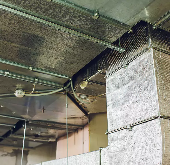 Why Homeowners & Businesses Trust Us in Ferndale, MD?